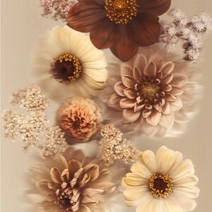 Bundle for CountryBlue5